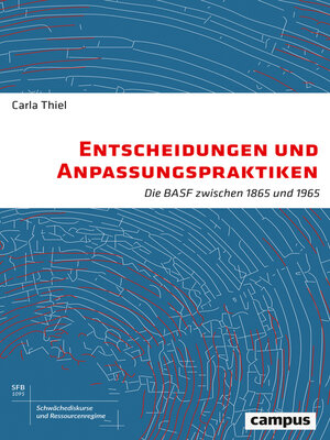cover image of Entscheidungen und Anpassungspraktiken